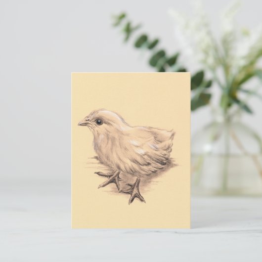 Zeichnend Baby Chicken Postkarte (Stehend Vorderseite)