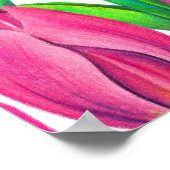 Zeichnend botanische Pink Tulips Poster (Ecke)