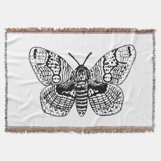 Zeichnend Brahmanmotte Decke (Vorderseite)
