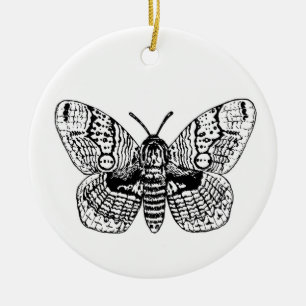 Zeichnend Brahmanmotte Keramik Ornament