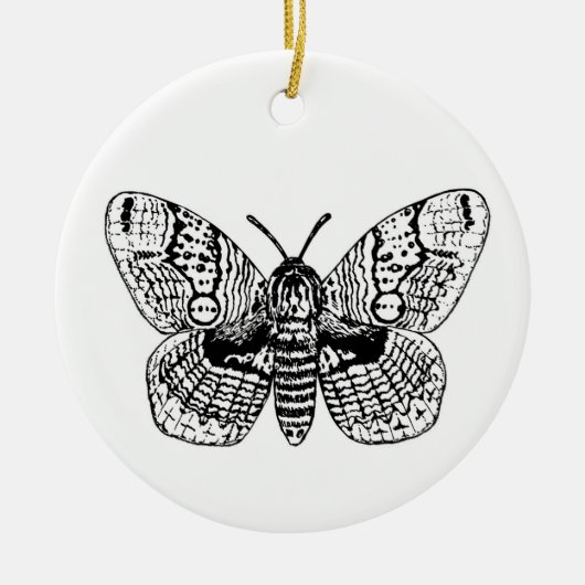 Zeichnend Brahmanmotte Keramik Ornament (Vorne)