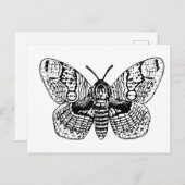 Zeichnend Brahmanmotte Postkarte (Vorne/Hinten)