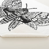 Zeichnend Brahmanmotte Sherpadecke (3/4)