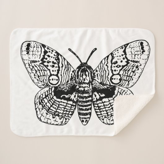 Zeichnend Brahmanmotte Sherpadecke (Vorderseite (Horizontal))