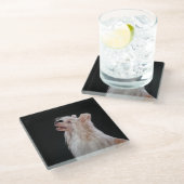 Zeichnend Chinesischer Katzenhund Glasuntersetzer (Schrägansicht)