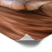 Zeichnend Dog Cavalier King Charles Spaniel Poster (Ecke)