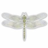 Zeichnend Elegante Dragonfly Aufkleber (Vorderseite)