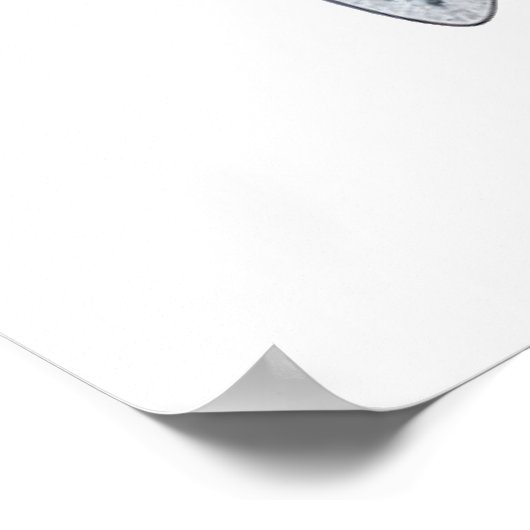 Zeichnend Hai Poster (Ecke)