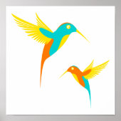 Zeichnend Hummingbird Poster (Vorne)