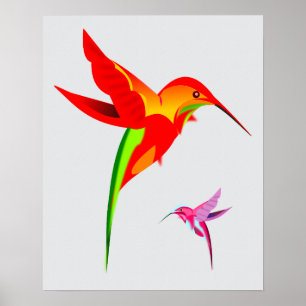 Zeichnend Hummingbird Poster