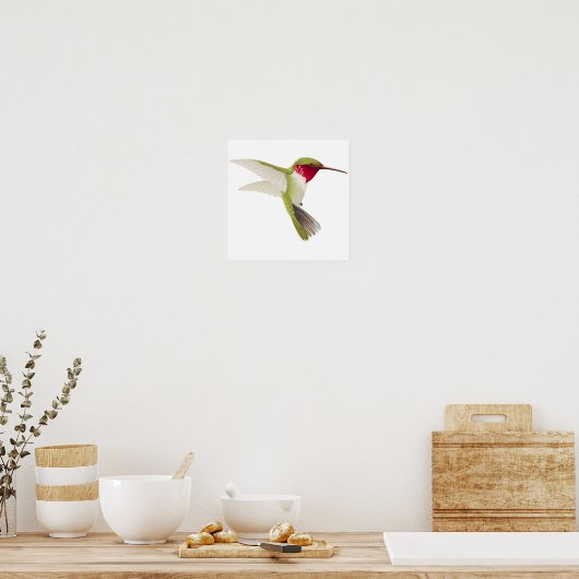Zeichnend Hummingvogel Poster (Küche)