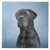 Zeichnend Hund Cane Corso - Italienischer Mastiff Fliese (Vorderseite)