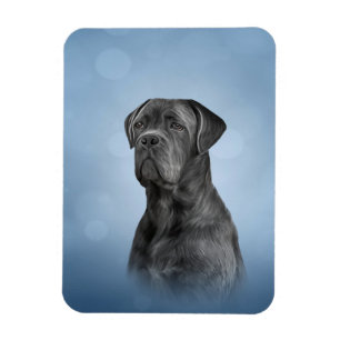 Zeichnend Hund Cane Corso - Italienischer Mastiff Magnet