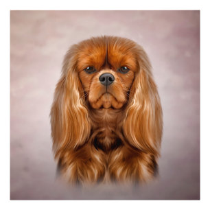 Zeichnend Hund Cavalier King Charles Spaniel Fotodruck