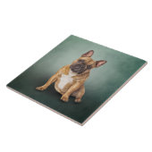 Zeichnend Hund Fliese (Seite)