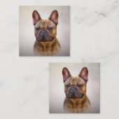 Zeichnend Hund Französischer Bulldog 5 Quadratische Visitenkarte (Vorne/Hinten)
