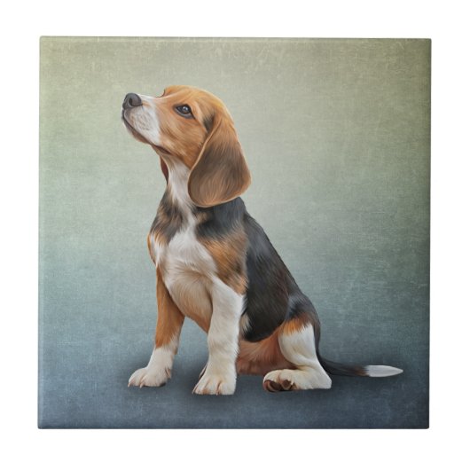 Zeichnend Hunde Beagle 7 Fliese (Vorderseite)