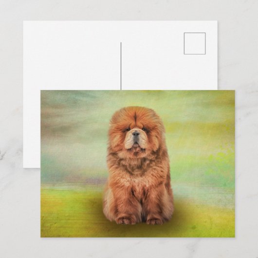 Zeichnend Hundebucht Postkarte (Vorne/Hinten)