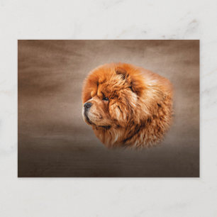 Zeichnend Hundehau Postkarte