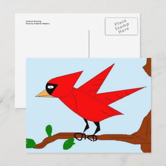 Zeichnend Kardinal Postkarte (Vorne/Hinten)