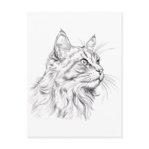 Zeichnend Katze