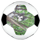 Zeichnend Kitten Pencil Fußball (Gedreht)