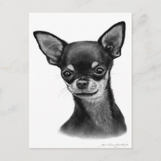 Zeichnend Kohle mit weichem Blick Postkarte (Vorderseite)