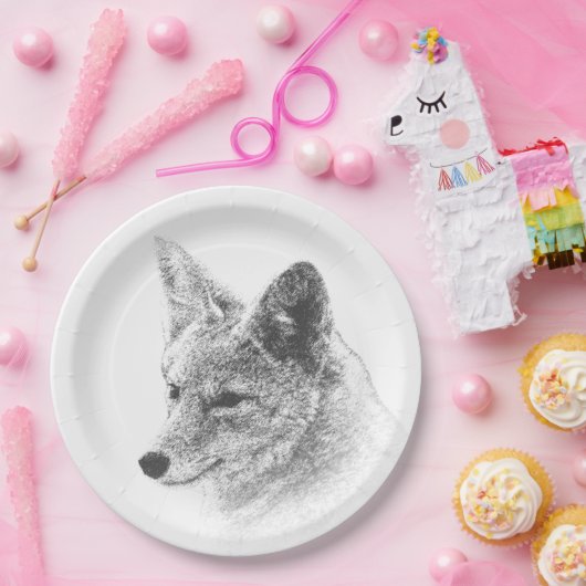 Zeichnend Koyote Pappteller (Party)