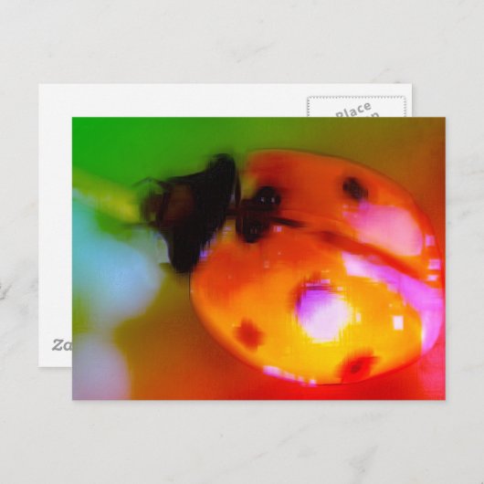 Zeichnend Ladybug Postkarte (Vorne/Hinten)