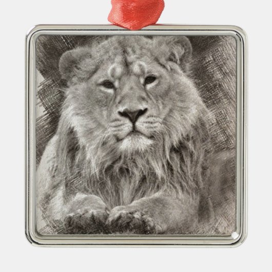 Zeichnend Löwe Ornament Aus Metall (Vorne)