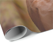 Zeichnend lustig Vizsla Pointer Geschenkpapier (Rolleneckpunkt)