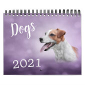 Zeichnend lustige Hunde Kalender (Titelbild)