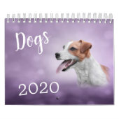 Zeichnend lustige Hunde Kalender (Titelbild)