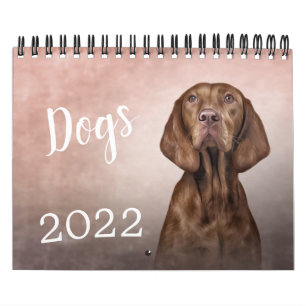 Zeichnend lustiger Hundekalender Kalender