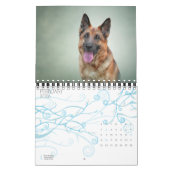 Zeichnend lustiger Hundekalender Kalender (Feb 2026)