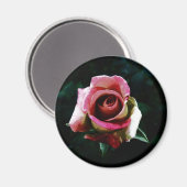 zeichnend magnet (Vorderseite/Rückseite)