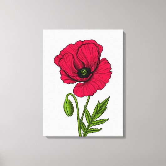 Zeichnend Mohn Leinwanddruck (Vorderseite)