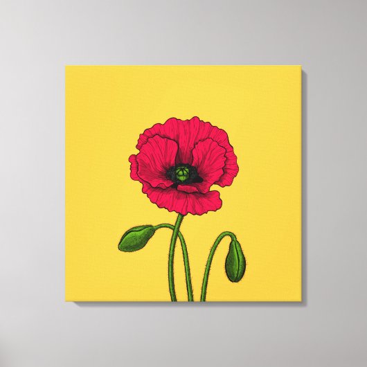 Zeichnend Mohn Leinwanddruck (Vorderseite)