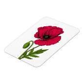 Zeichnend Mohn Magnet (Linke Seite)