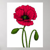 Zeichnend Mohn Poster (Vorne)