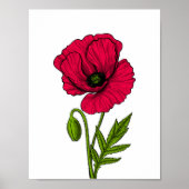 Zeichnend Mohn Poster (Vorne)