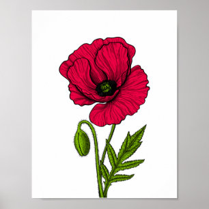 Zeichnend Mohn Poster