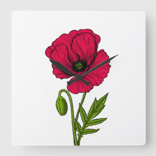 Zeichnend Mohn Quadratische Wanduhr (Vorderseite)