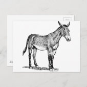 Zeichnend Mule, Stubborn Postkarte (Vorne/Hinten)