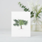 zeichnend Palme VII Postkarte (Stehend Vorderseite)