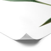 Zeichnend Paradiesvogel (Blume) Poster (Ecke)