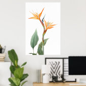 Zeichnend Paradiesvogel (Blume) Poster (Heimbüro)