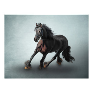 Zeichnend Porträtpferd Fotodruck