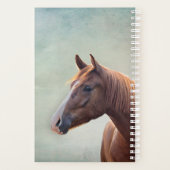 Zeichnend Porträtpferd Planer (Rückseite)