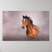 Zeichnend Porträtpferd Poster (Vorne)